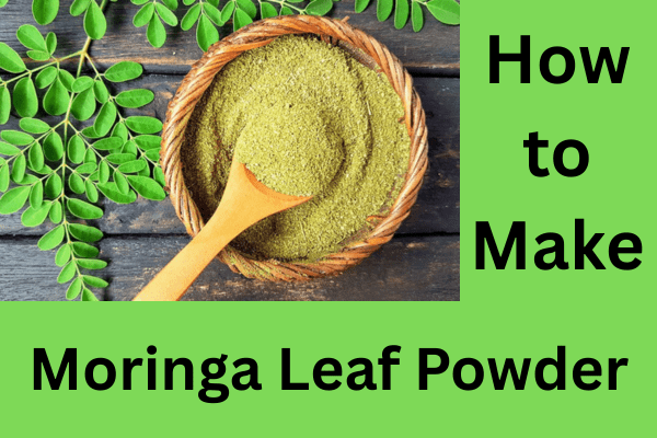 how to make moringa leaf powder
