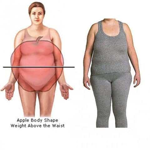 apple body shape